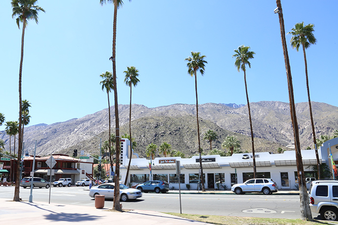 Palm-Springs