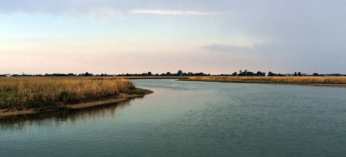 Tour ecologico in laguna di Venezia: voga veneta e motore elettrico