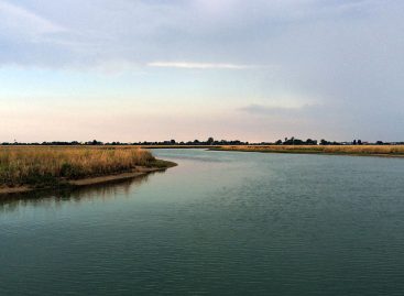 Tour ecologico in laguna di Venezia: voga veneta e motore elettrico