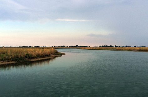 Tour ecologico in laguna di Venezia: voga veneta e motore elettrico