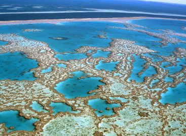 Webinar Australia Insolita, una notta sulla Grande Barriera Corallina