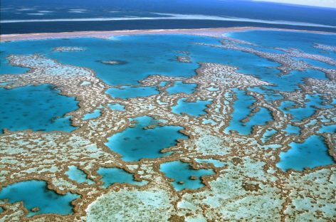 Webinar Australia Insolita, una notta sulla Grande Barriera Corallina