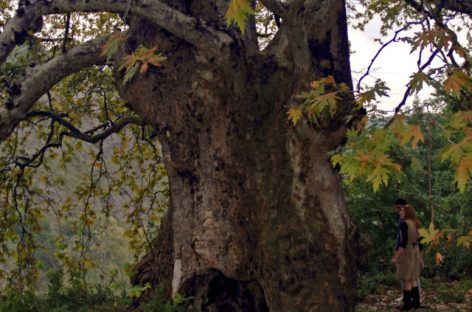 WEEKEND CACCIA AL TARTUFO