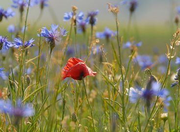 WEEKEND NELLA NATURA DEL PARCO DI COLFIORITO