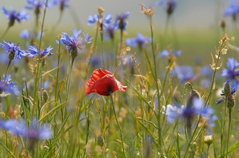 WEEKEND NELLA NATURA DEL PARCO DI COLFIORITO