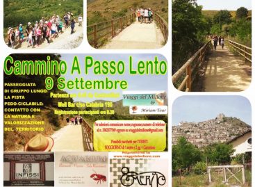 CAMMINO A PASSO LENTO