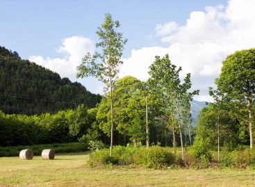 AGRITURISMO ACQUAFREDDA VIAGGIO TRA NATURA E POESIA