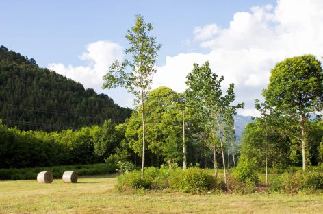 AGRITURISMO ACQUAFREDDA VIAGGIO TRA NATURA E POESIA