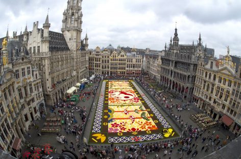 Webinar Fiandre: Gli eventi imperdibili del 2018 –  <br>Il Tappeto di fiori di Bruxelles