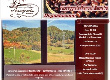 OFFERTA WEEK END TOUR ESPERIENZIALE PARCO NAZIONALE DEL POLLINO