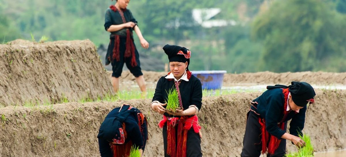 COSA DICONO DI ASIATICA TRAVEL DOPO IL PRESS TOUR?