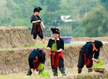 COSA DICONO DI ASIATICA TRAVEL DOPO IL PRESS TOUR?