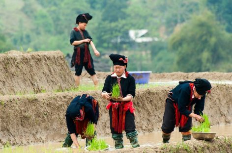 COSA DICONO DI ASIATICA TRAVEL DOPO IL PRESS TOUR?