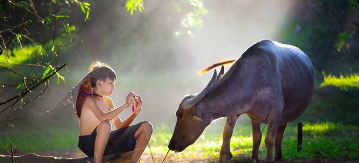 Quando è la stagione migliore per fare un viaggio in Vietnam?