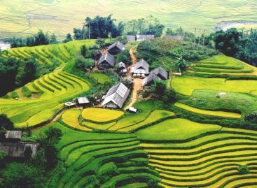 Dove vedere le terrazze di risaie in Vietnam?