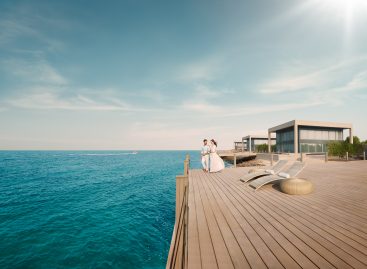 Discover Abu Dhabi: Le meraviglie del mare