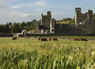 Webinar Irlanda – Scopri le Hidden Heartlands nel cuore nascosto dell’Irlanda