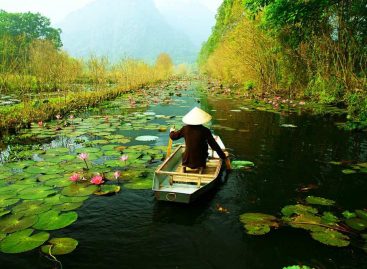 Vietnam Meraviglie e Tesori