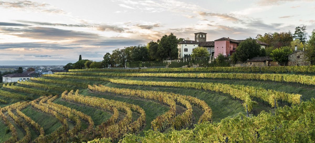 E’ online la registrazione del webinar “Riparti da qui: scopri il Friuli Venezia Giulia”