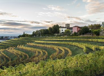 E’ online la registrazione del webinar “Riparti da qui: scopri il Friuli Venezia Giulia”