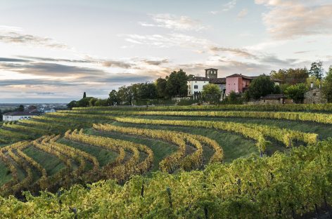 E’ online la registrazione del webinar “Riparti da qui: scopri il Friuli Venezia Giulia”