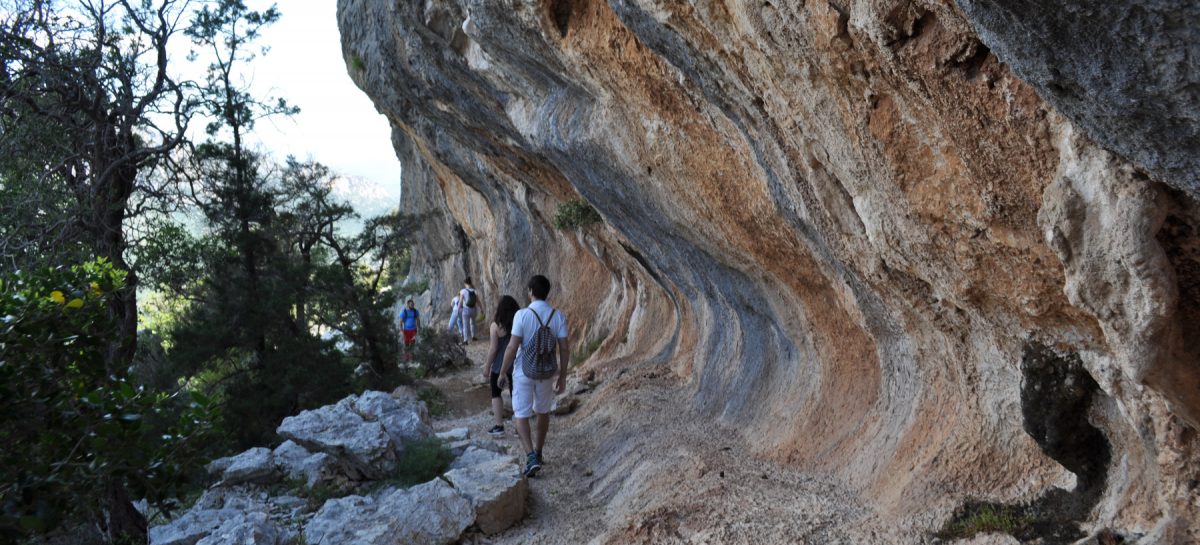 In Sardegna si può: mille esperienze, una sola terra