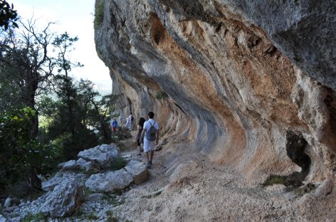 In Sardegna si può: mille esperienze, una sola terra