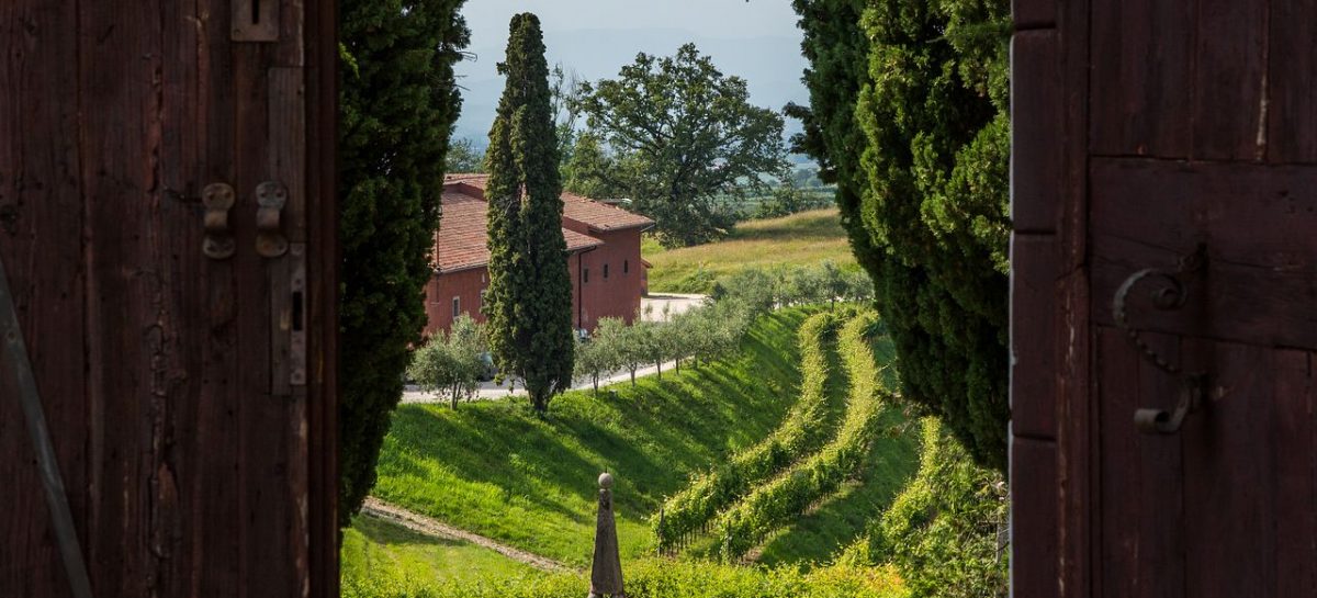 Webinar Friuli Venezia Giulia – Un mondo da scoprire