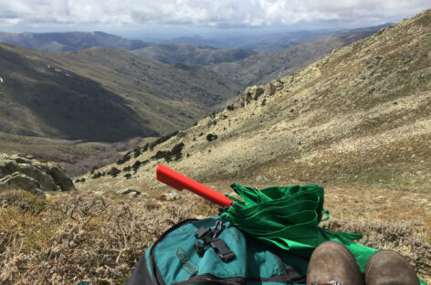 Trekking a Punta Lamarmora, il tetto della Sardegna