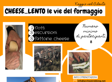 Viaggi nel Cilento: CHEESE-LENTO LE VIE DEL FORMAGGIO