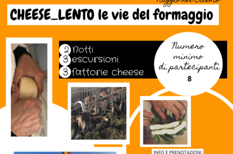 Viaggi nel Cilento: CHEESE-LENTO LE VIE DEL FORMAGGIO