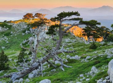 TREKKING SERRA CRISPO SU PRENOTAZIONE OGNI WEEK END