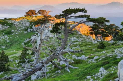 TREKKING SERRA CRISPO SU PRENOTAZIONE OGNI WEEK END