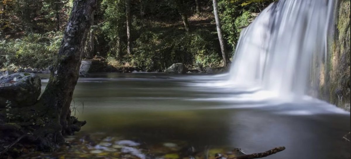 Viaggio Natura in Basilicata nel Parco Nazionale del Pollino