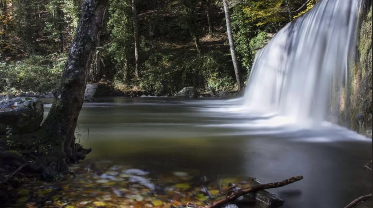 Viaggio Natura in Basilicata nel Parco Nazionale del Pollino