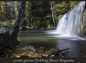 Viaggio Natura in Basilicata nel Parco Nazionale del Pollino