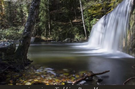 Viaggio Natura in Basilicata nel Parco Nazionale del Pollino